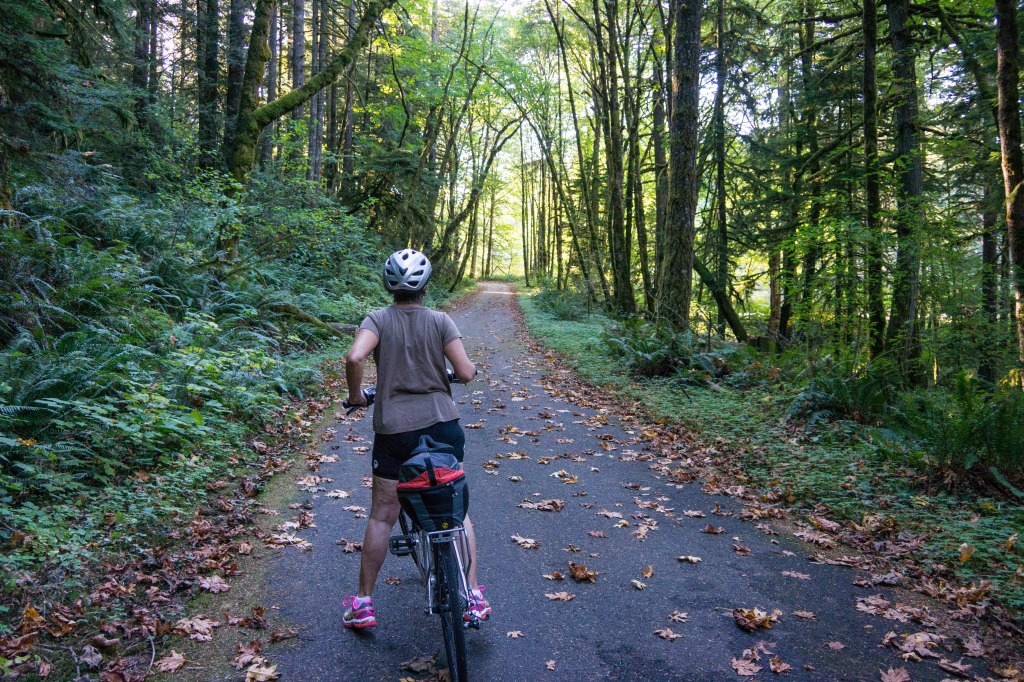 Old route Oregon 30 now a bike trail through a forest - beautiful!