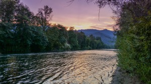 Click for the Rogue River Gallery