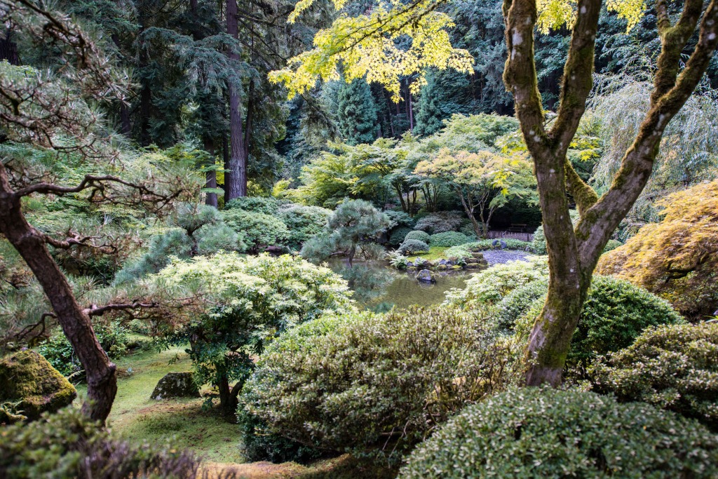 Japanese Garden - Portland 